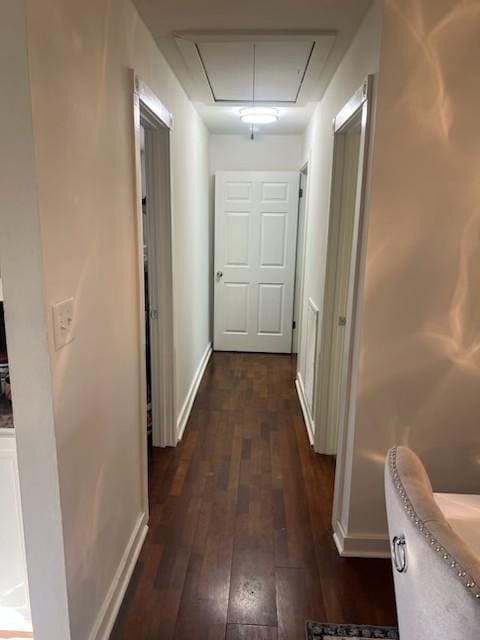 hall with dark wood-type flooring