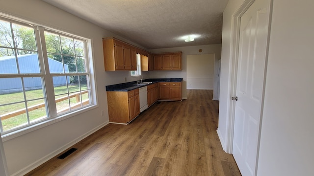 kitchen with dark wood-type flooring, sink, a wealth of natural light, and white dishwasher