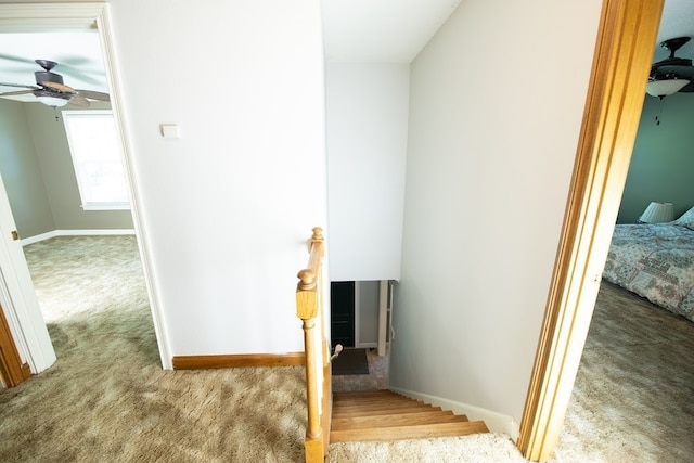 stairs with lofted ceiling, carpet, and ceiling fan