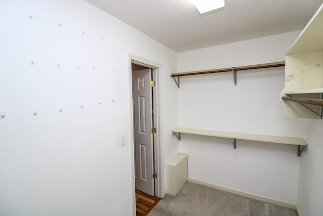 walk in closet with light colored carpet