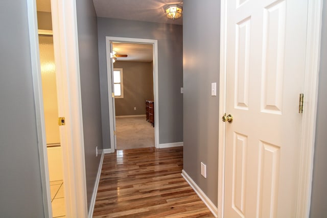 corridor with wood-type flooring