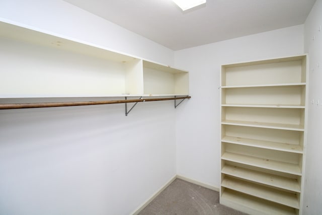 walk in closet featuring carpet floors