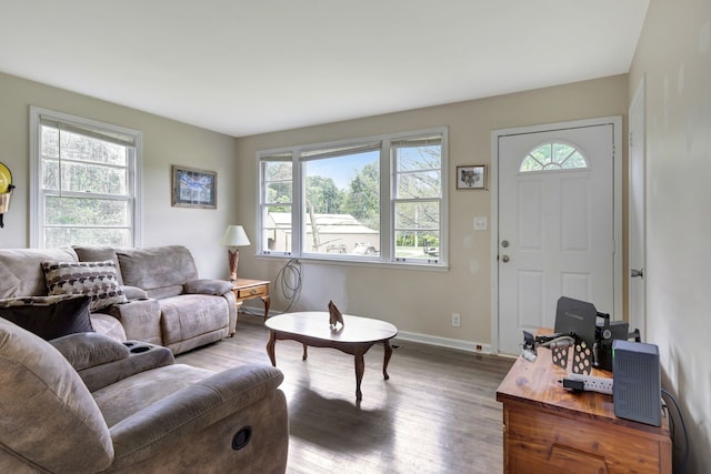 living room featuring hardwood / wood-style floors and a healthy amount of sunlight