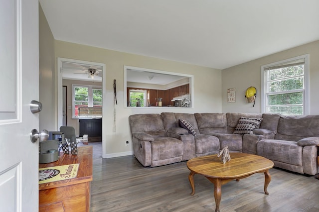 living room with ceiling fan and wood-type flooring