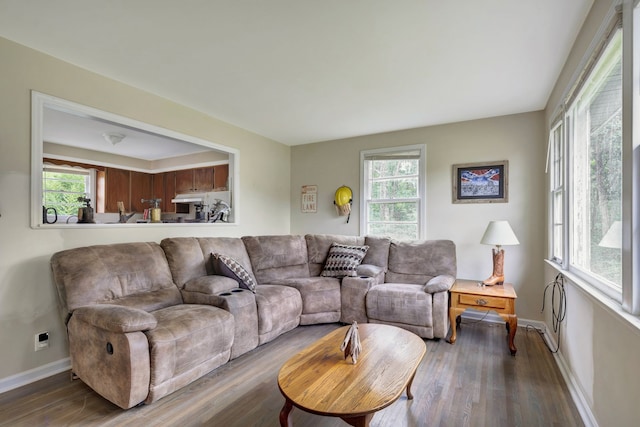 living room with dark wood-type flooring