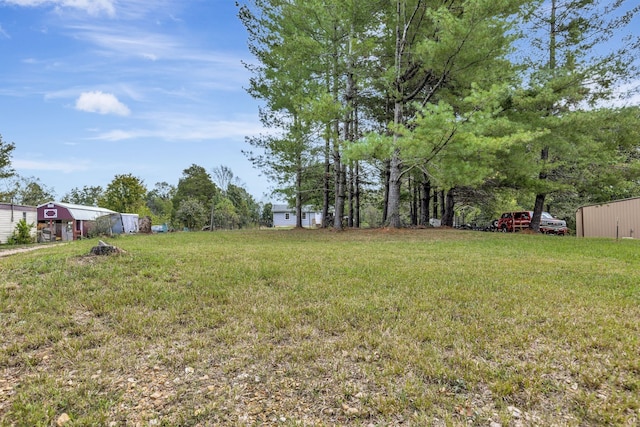 view of yard with an outbuilding