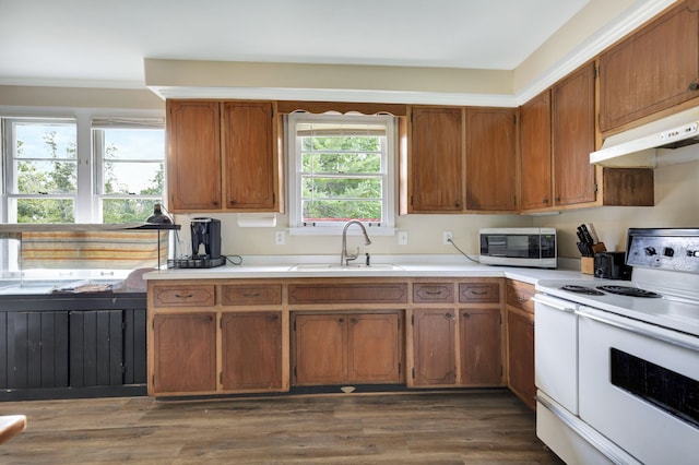 kitchen featuring white range with electric cooktop, dark hardwood / wood-style flooring, and sink