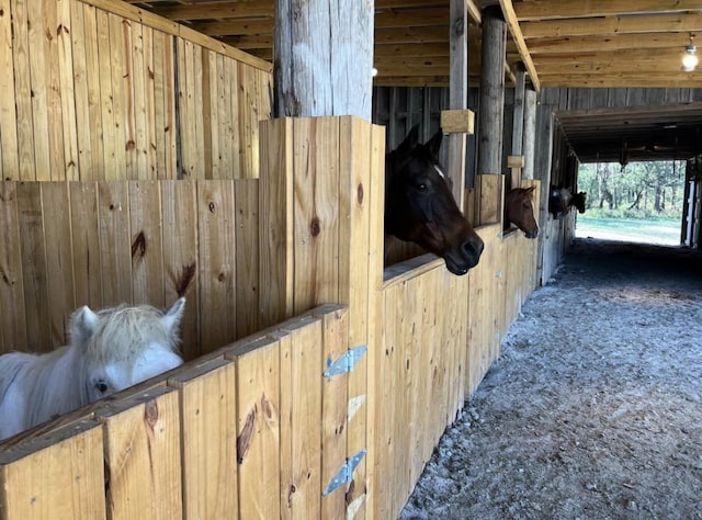 view of stable