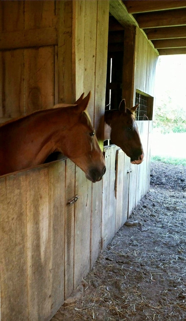 view of horse barn