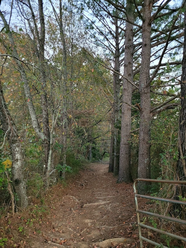 view of landscape