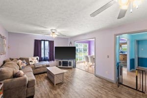 living room featuring wood-type flooring