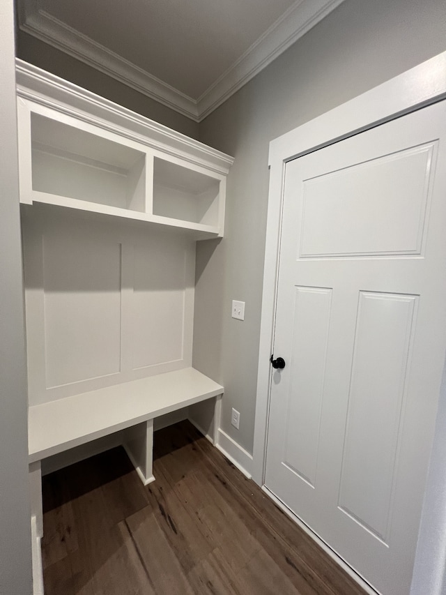 mudroom featuring dark wood-type flooring and crown molding