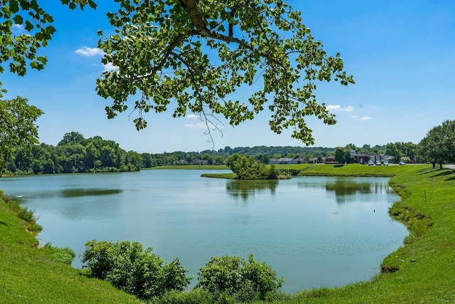 1800 Merritt St, Old Hickory, TN 37138 - photo 5
