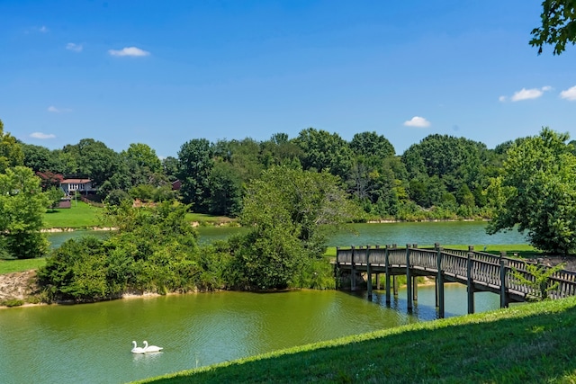 dock area with a water view