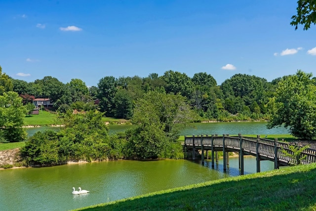 1800 Merritt St, Old Hickory, TN 37138 - photo 4