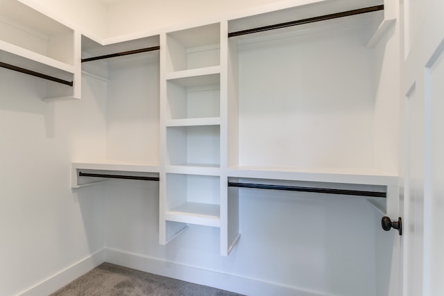 spacious closet with carpet flooring