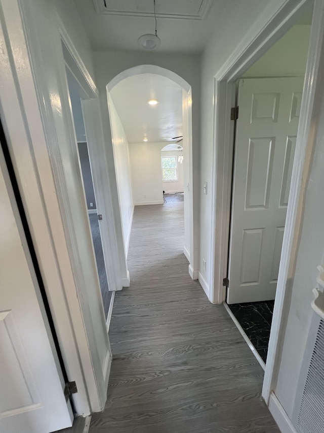 hallway featuring dark wood-type flooring