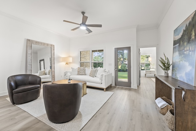 living room with ceiling fan, crown molding, and light hardwood / wood-style floors