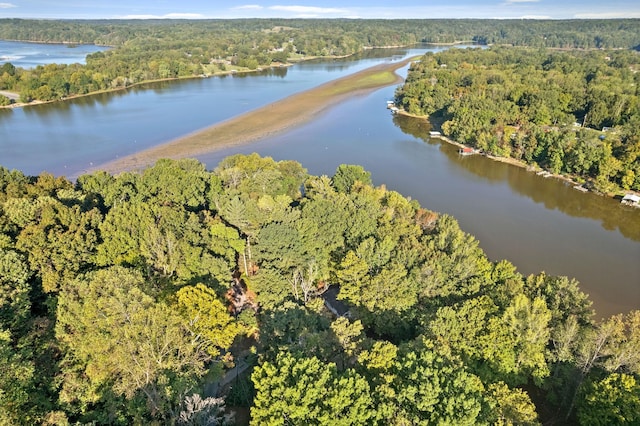 bird's eye view with a water view and a view of trees