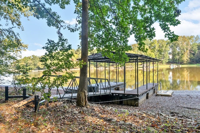dock area with a water view