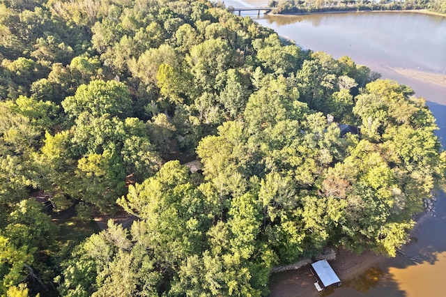 drone / aerial view with a water view and a view of trees