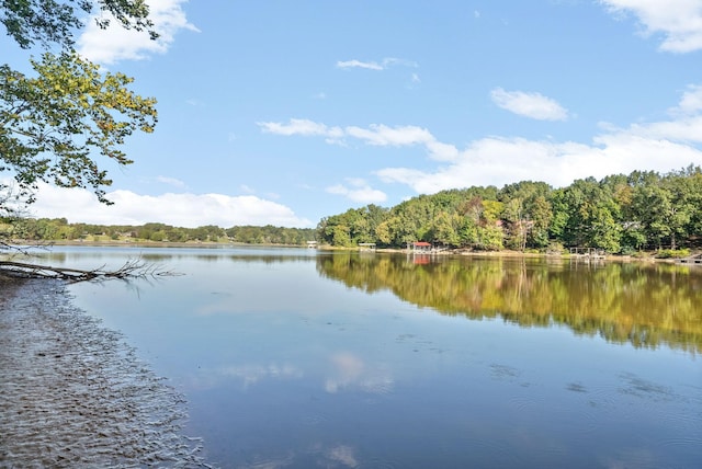 water view with a view of trees