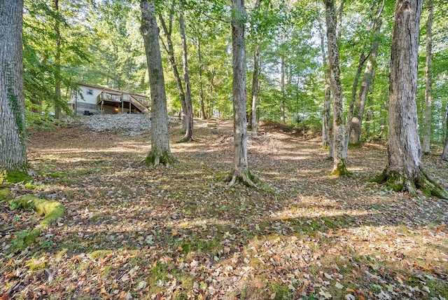 view of yard featuring a view of trees