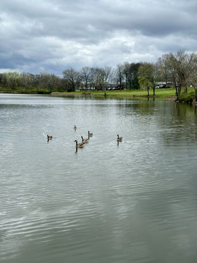 water view