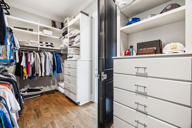 spacious closet featuring dark wood-type flooring