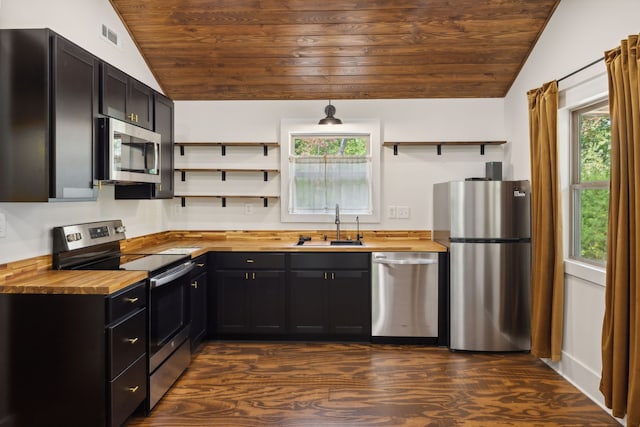 kitchen featuring vaulted ceiling, appliances with stainless steel finishes, sink, and wood counters