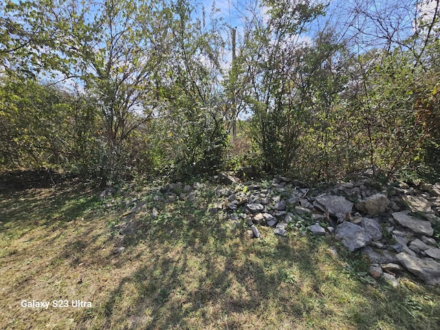 0 Cedar Cir, Mulberry, TN 37359