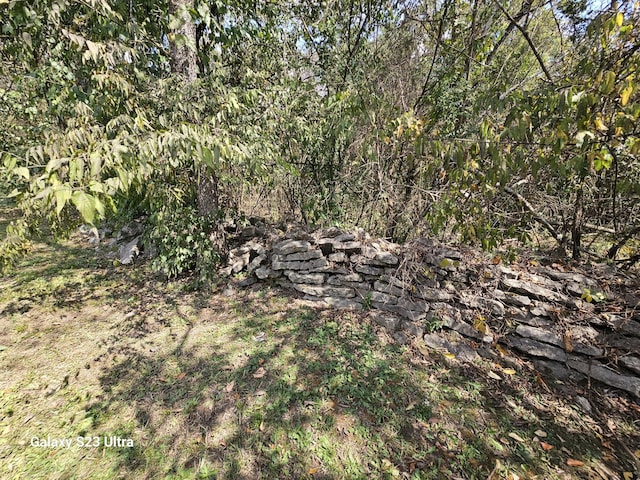 0 Cedar Cir, Mulberry, TN 37359