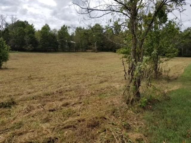 0 Harsh Ln, Castalian Springs, TN 37031 - photo 3