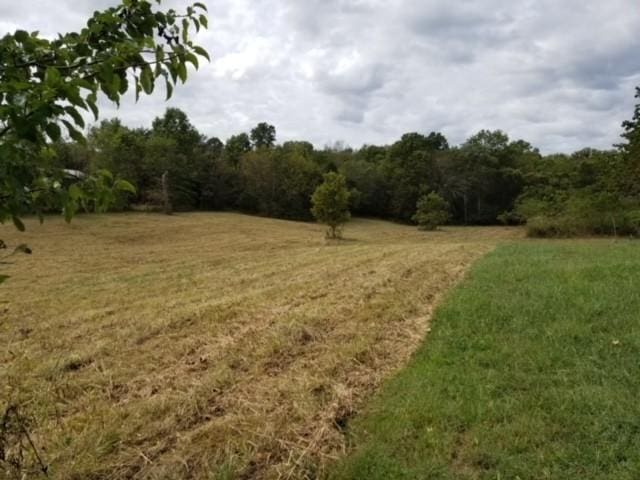 0 Harsh Ln, Castalian Springs, TN 37031 - photo 4
