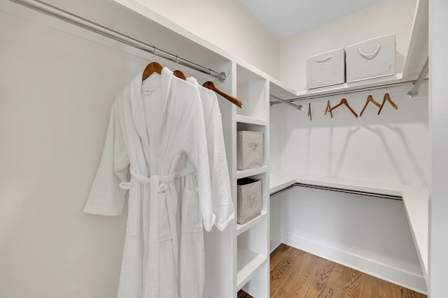 spacious closet with wood-type flooring