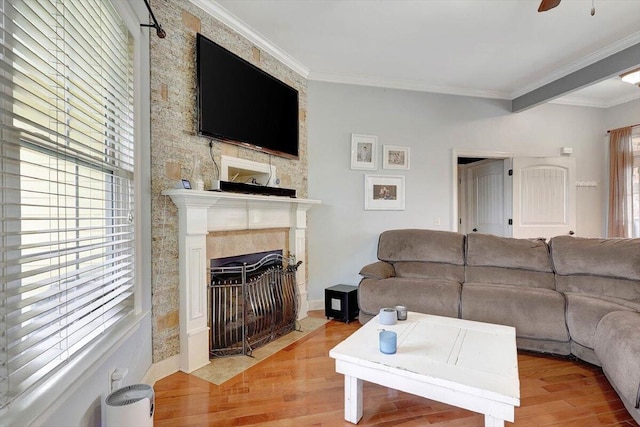 living room with ceiling fan, hardwood / wood-style flooring, and crown molding