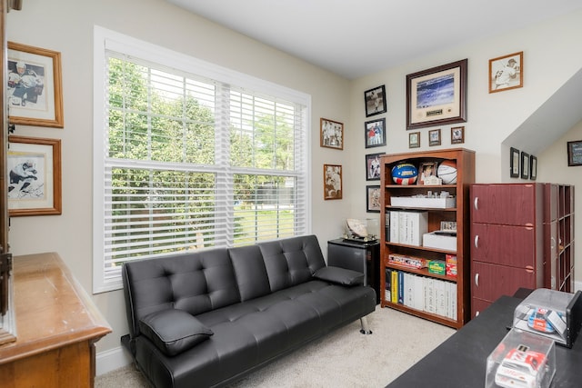 view of carpeted living room