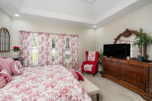 carpeted bedroom featuring multiple windows and a raised ceiling