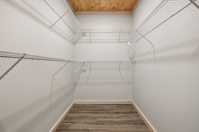 walk in closet featuring wood-type flooring