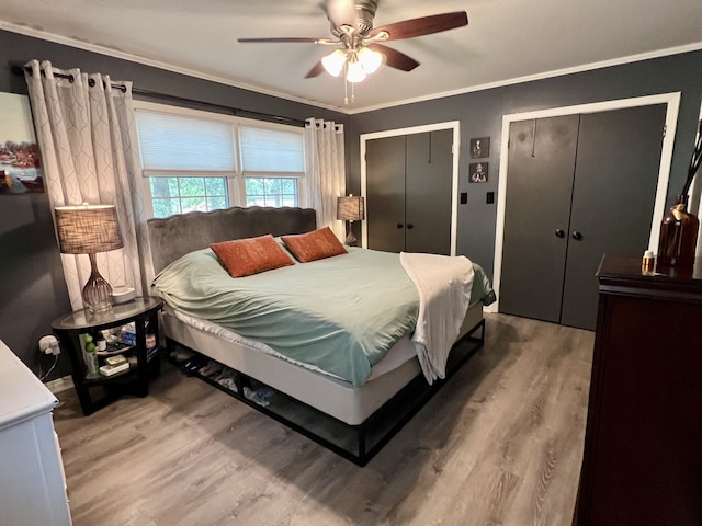 bedroom featuring multiple closets, hardwood / wood-style flooring, ceiling fan, and crown molding