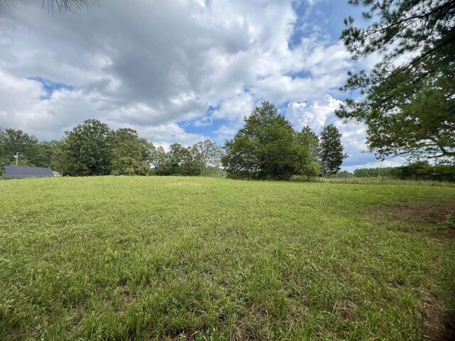 7636 Liberty Rd, Scotts Hill, TN 38374 - photo 43