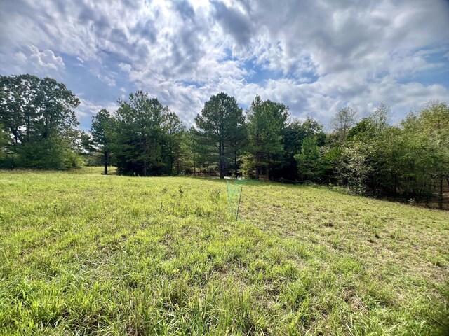 7636 Liberty Rd, Scotts Hill, TN 38374 - photo 45