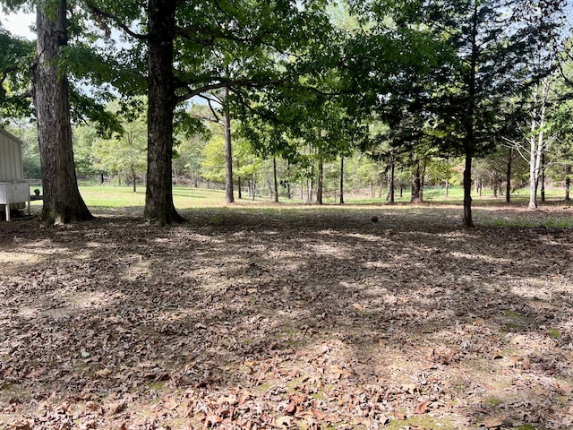 view of local wilderness