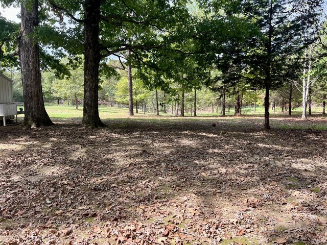 7636 Liberty Rd, Scotts Hill, TN 38374 - photo 55