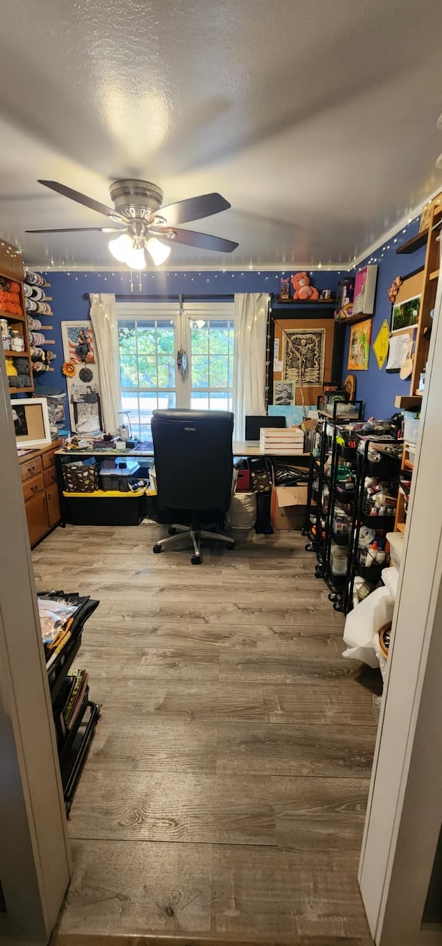 office space featuring wood-type flooring, a textured ceiling, and ceiling fan