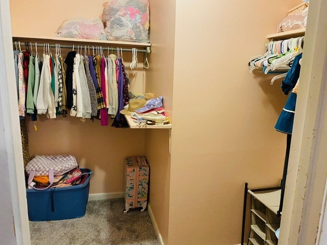 walk in closet featuring carpet floors