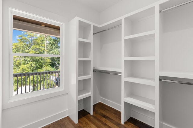 walk in closet with dark hardwood / wood-style floors