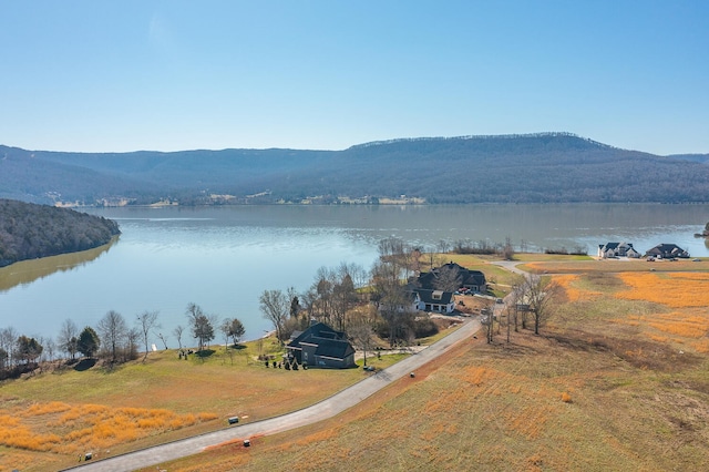 Listing photo 3 for 0 Edgewater Way, Jasper TN 37347