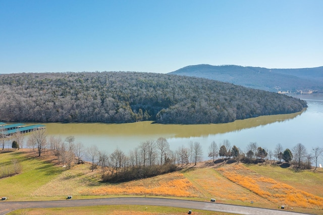 0 Edgewater Way, Jasper TN, 37347 land for sale