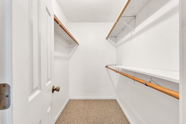 spacious closet with carpet flooring